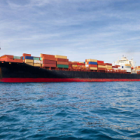 广州港进口马面鱼清关时效