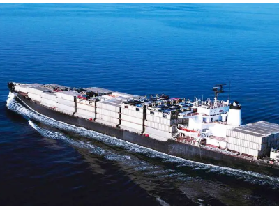 代理进口榴莲清关