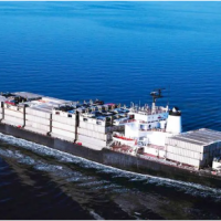 代理进口榴莲清关