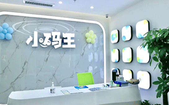 小码王在线编程一年费用