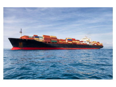 广西进口越南火龙果花霸王花清关