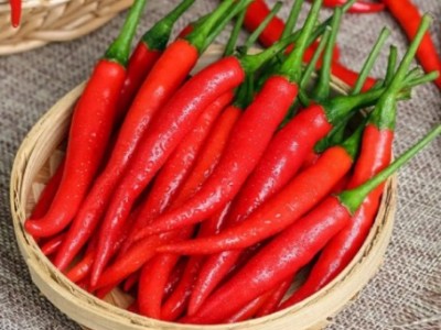 进口印度辣椒的量有多少