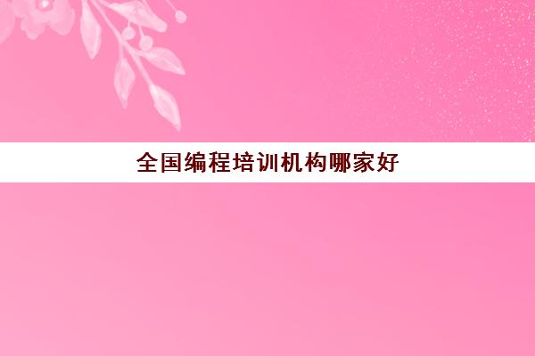 全国编程培训机构哪家好
