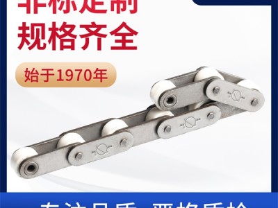 自润滑链条 C2062传动链 环球链条 链条厂家图1