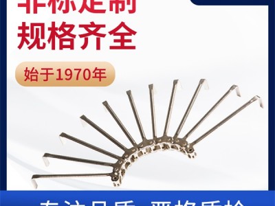 镀镍链条 海苔链 耐腐蚀链条 传动链 环球传动