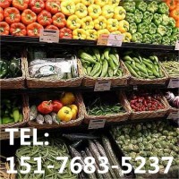 津食品进口报关代理