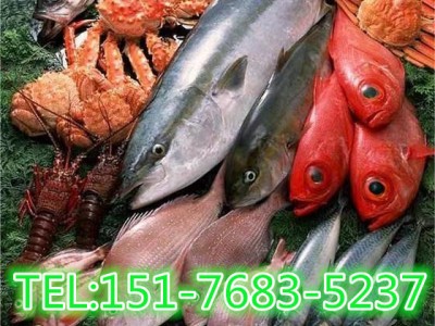 津食品进口报关