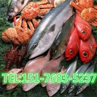 津食品进口报关