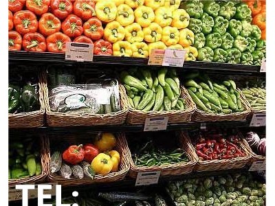 津食品报关公司