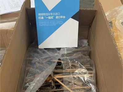 津蛤蚧报关代理