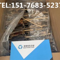 津蛤蚧报关公司