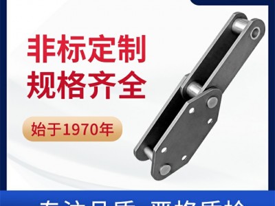 NE系列斗提机链 水泥链 工程链厂家 环球链条图1