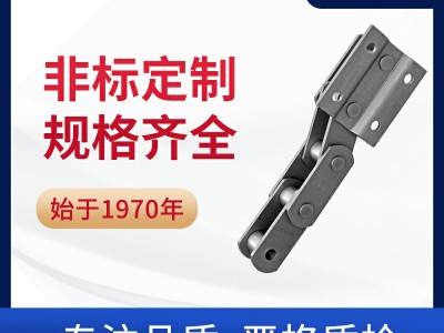 NBH斗提机链 工程链 环球链条 实力厂家图1