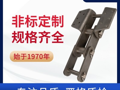 ER800斗提机链 水泥链 环球链条 工程链厂家