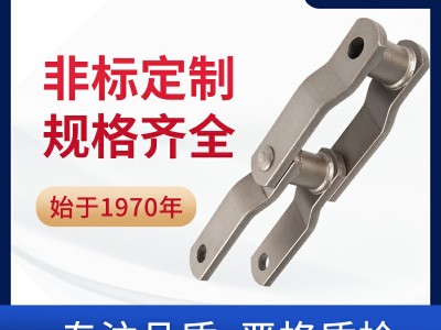 垃圾理链 WH系列链条 工程链 环保设备链条