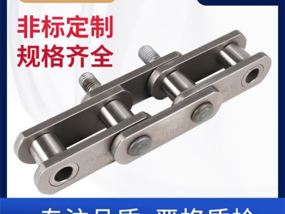 煤机链 工程链 环球链条 非标定制 链条厂家