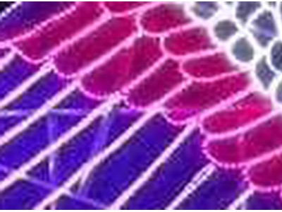 灯光节策划方案