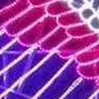 灯光节策划方案