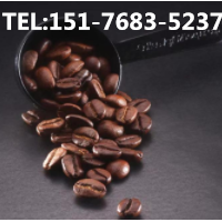 津咖啡豆进口报关