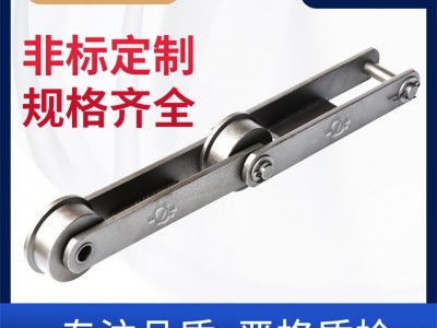 RF12250-F-1LW2链条 米制焊接输送链 环球链条图1