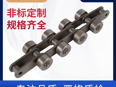 侧滚轮输送链 环球链条 链条厂家 输送链厂家图1