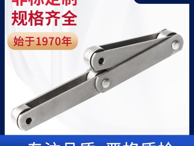 米制M系列输送链 环球传动 非标定制 实力厂家图1