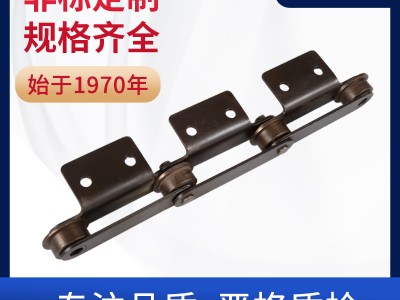 米制P100-F滚轮带附板输送链 环球链条 非标定制图1