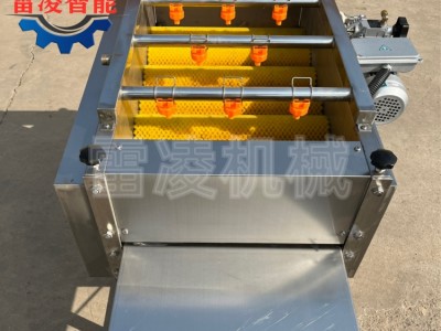 全自动粽叶清洗机 荷叶清洗设备 芦苇叶清洗机