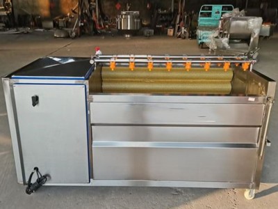 多功能大姜清洗机 商用果蔬泡清洗机 土豆蔬菜全自动清洗线