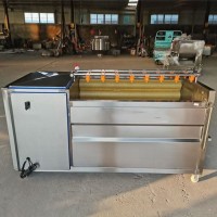 多功能大姜清洗机 商用果蔬泡清洗机 土豆蔬菜全自动清洗线