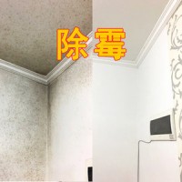佛山除霉公司，上门除霉消杀，杀毒防霉