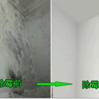 佛山除霉公司，专业上门理霉斑，全屋