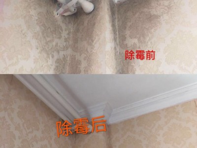 广州除霉公司，全屋除霉，霉渍防霉理