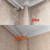 广州除霉公司，全屋除霉，霉渍防霉理