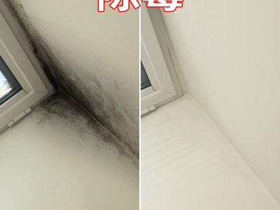 广州除霉公司,全屋除霉防霉,上门服务