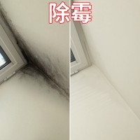 广州除霉公司，全屋除霉防霉，上门服务