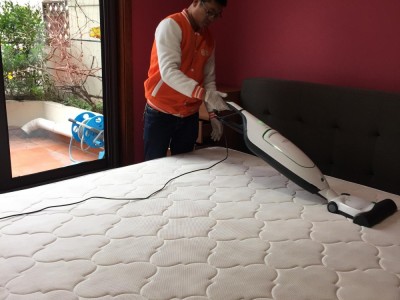 广州除螨虫公司,专业上门除螨,床垫沙发除螨