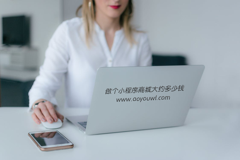 做个小程序商城大约多少钱