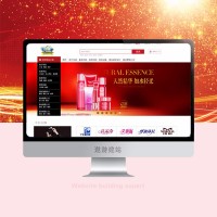 购物网站建设_企业商城系统搭建制作公司_豪华版