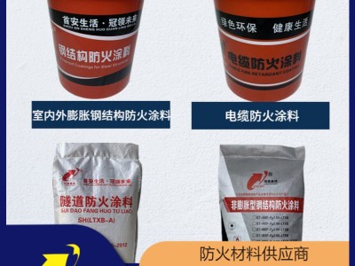 非膨胀型钢结构防火涂料 易施工不脱落 隆泰鑫博