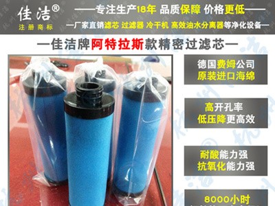 滤芯DD145+ 阿特拉斯空滤芯   2901207916