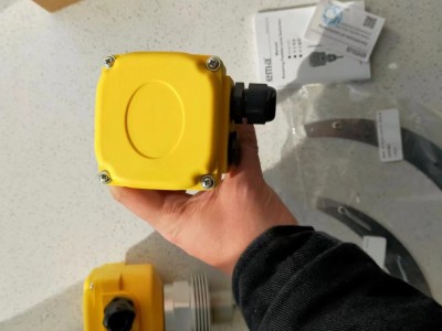 SRP20伊玛EMA高温阻旋料位开关图3