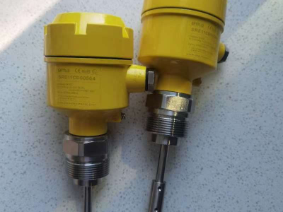 SRE10伊玛EMA防爆型阻旋料位开关图4