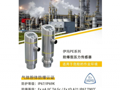 EMA伊玛PE防爆压力变送器图2