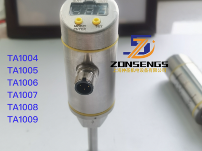 伊玛EMA温度变送器TA系列图2