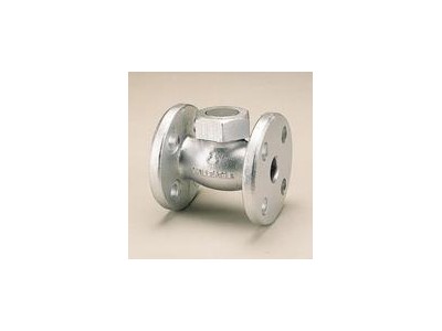 日立HITACHI升降式止回阀