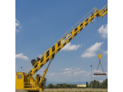 MEP PELLEGRINI操作手柄