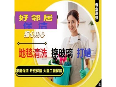 南京秦淮区大光路附近保洁公司 专业擦玻璃 出租房打 装修开荒保洁 打蜡