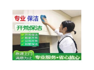 南京秦淮区大光路附近保洁公司 专业擦玻璃 出租房打 装修开荒保洁 打蜡图4