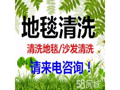 南京建邺区雨花区附近洗地毯没有我们更专业服务团队 好邻居清洗公司热线